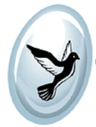 UdaanXPS Logo